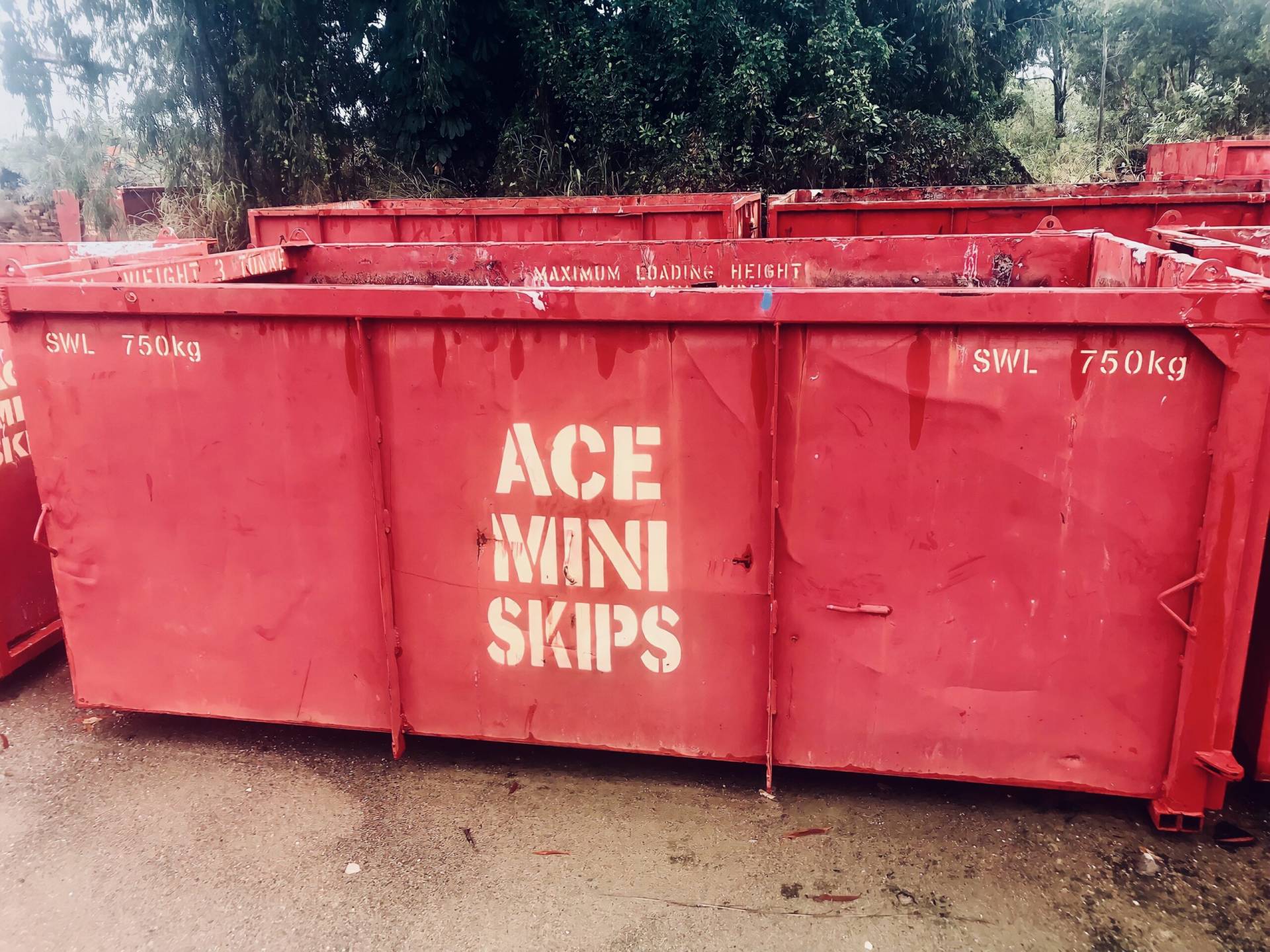 Ace Mini Skips